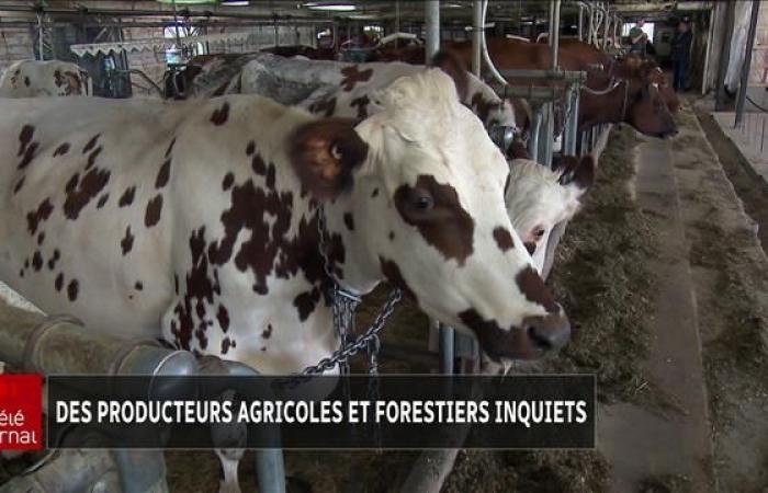 Worried agricultural and forestry producers in Outaouais and eastern Ontario