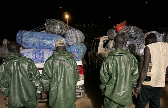 Drug trafficking: Ocrtis dismantles an armed network and seizes 277.5 kg of Indian hemp