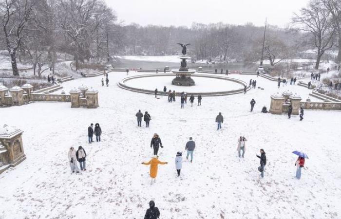 Washington under the snow, -18°C… Photos of the winter storm in the United States