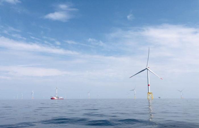 In this Cotentin town, the offshore wind farm project is taking shape