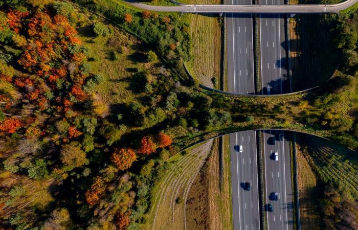 Since January 1, the prices of this motorway in France have soared