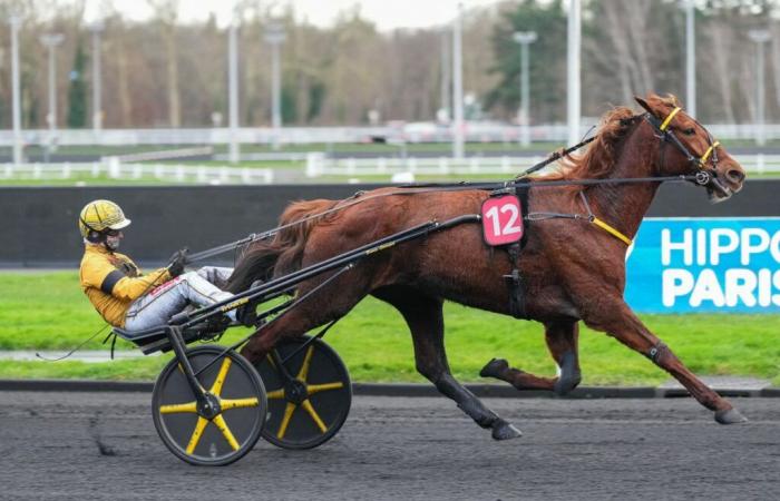 Belgian Prize, Iroise de la Noé at the start and barefoot