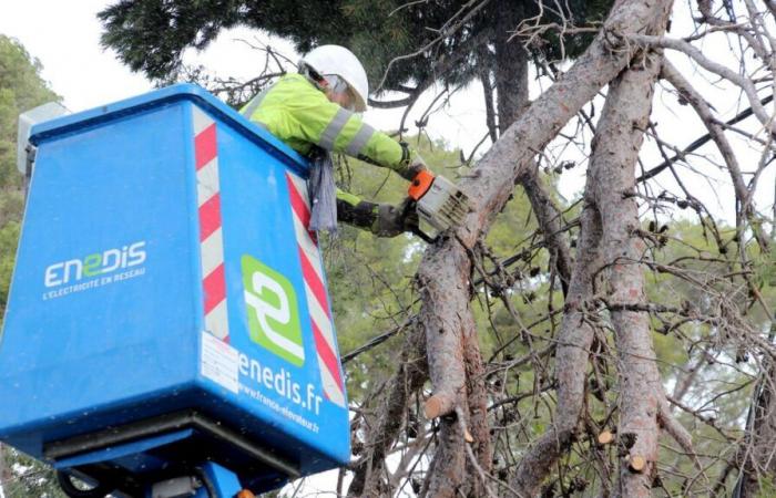 Storm Floriane: still “a few hundred” homes without power in Seine-et-Marne