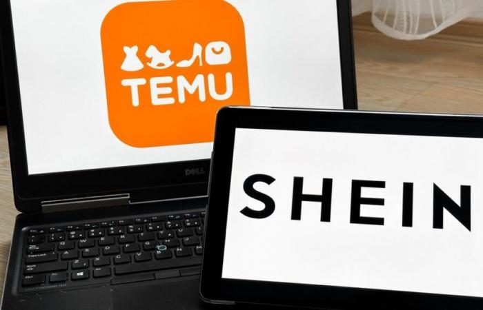 60% of businesses in Switzerland have a problem with Temu and Shein