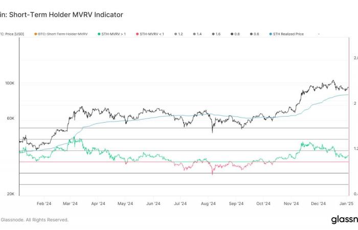 Bitcoin investors remain unmoved by its return to $100,000