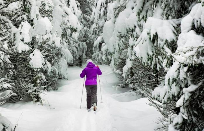 6 beautiful places for free cross-country skiing in Quebec