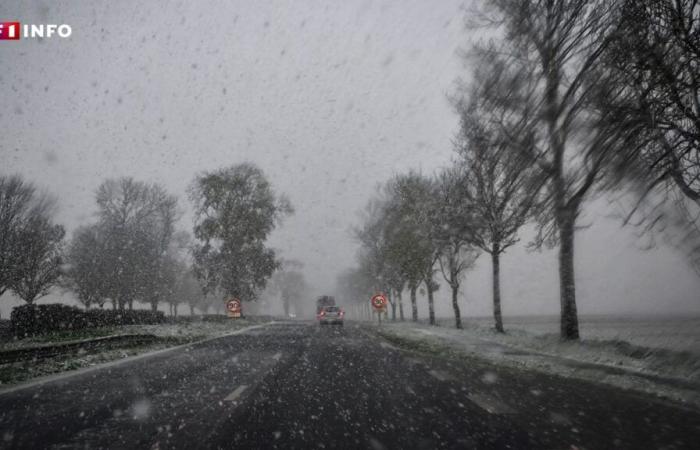 LIVE – Snow and ice: 4 departments in the north of France on orange alert this Wednesday