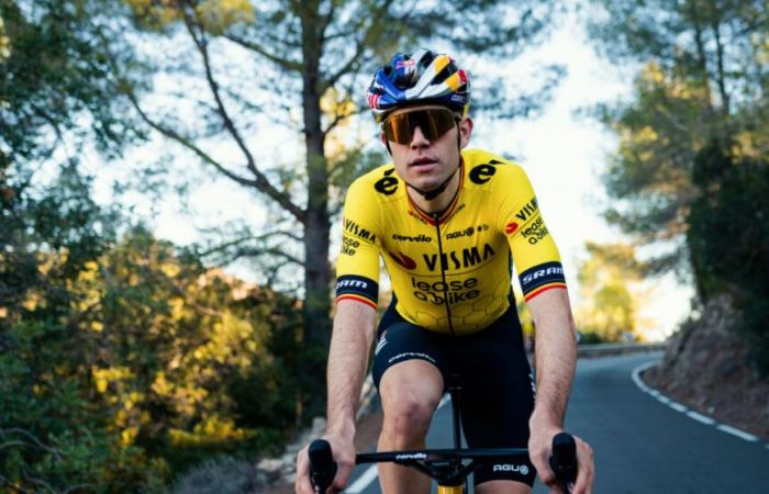 Season 2025 – Wout van Aert's program