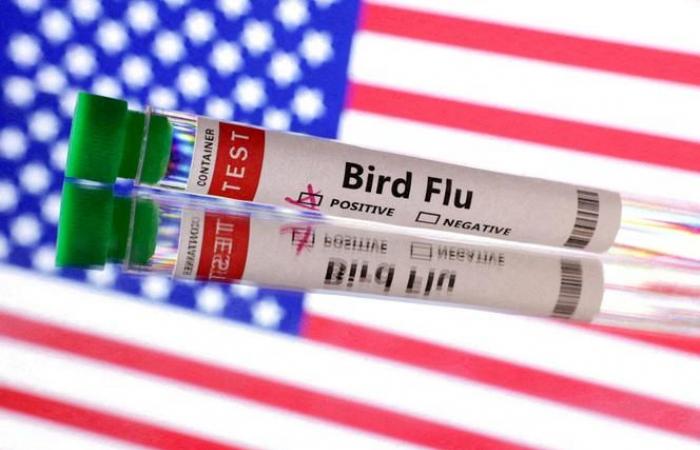 The United States reports first human death linked to bird flu