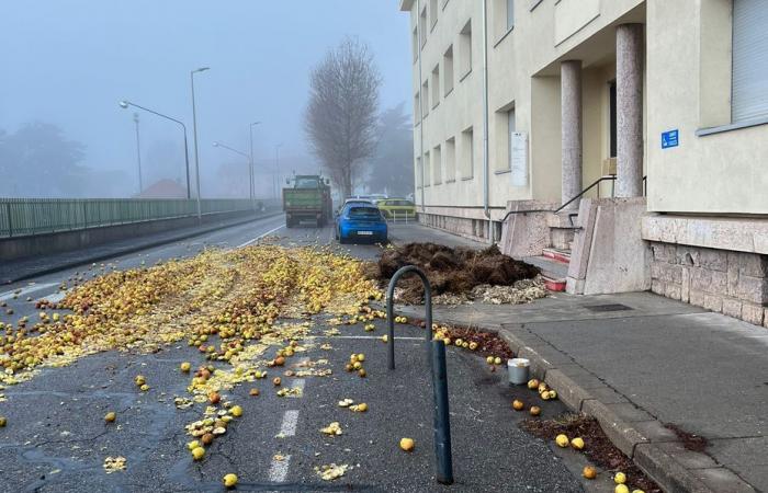 Rural Coordination 05 dumps bins of rotten apples and hay in front of state services