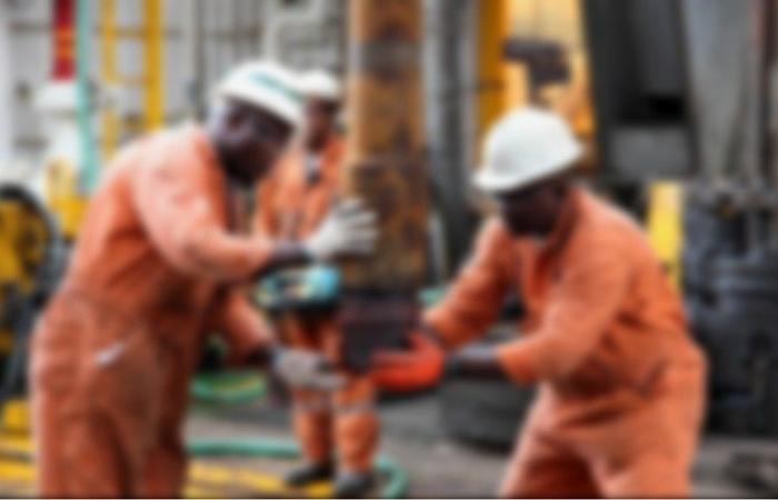 Oil: Sangomar exceeds its production targets in 2024, reaching 16.9 million barrels extracted – VivAfrik