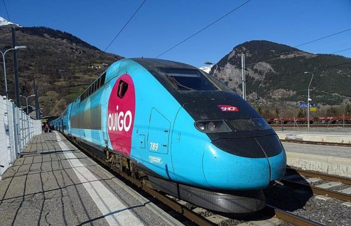 Bedbugs, cockroaches, safety: SNCF unions denounce worrying malfunctions in the Ouigo TGVs