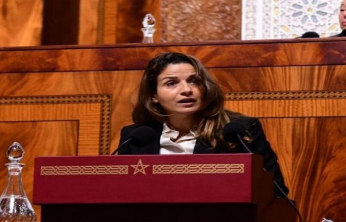 Leila Benali: “the publication of the electricity network tariff helps to reduce the energy bill”