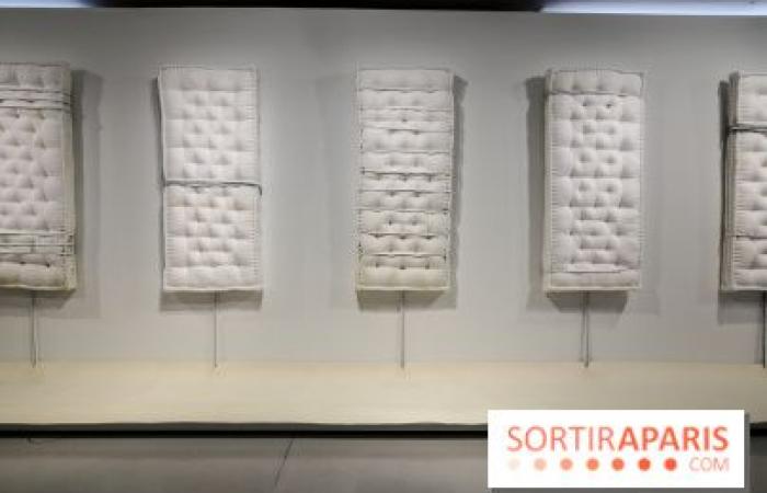 Arte Povera: the exhibition on the Italian artistic movement at the Bourse de Commerce – last days