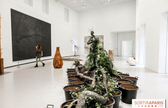 Arte Povera: the exhibition on the Italian artistic movement at the Bourse de Commerce – last days