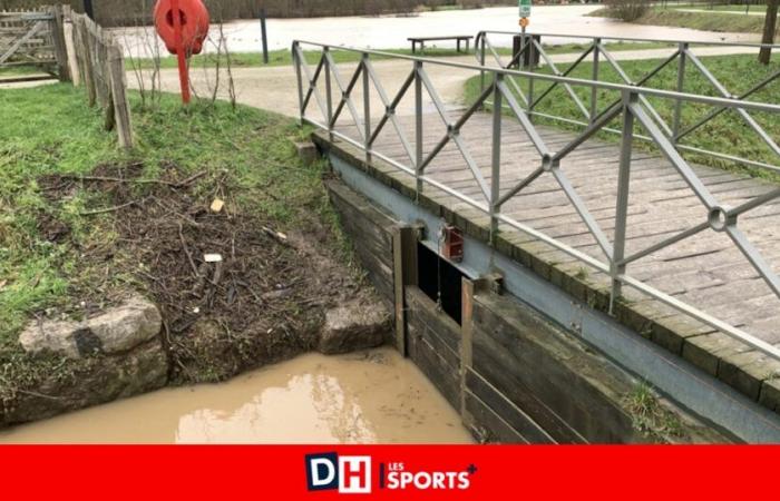 The Lac du Paradis in Braine-l’Alleud retained at least 25,000 m3 of water: “yesterday, we reached the peak of the flood between noon and 2 p.m.”