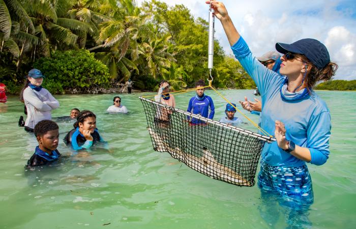 Paradise as a workplace: a Swiss woman explores the ocean in Seychelles