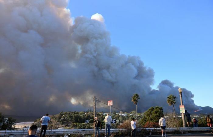 IN PICTURES – Los Angeles: the most spectacular photos of the fire that ravaged Pacific Palisades