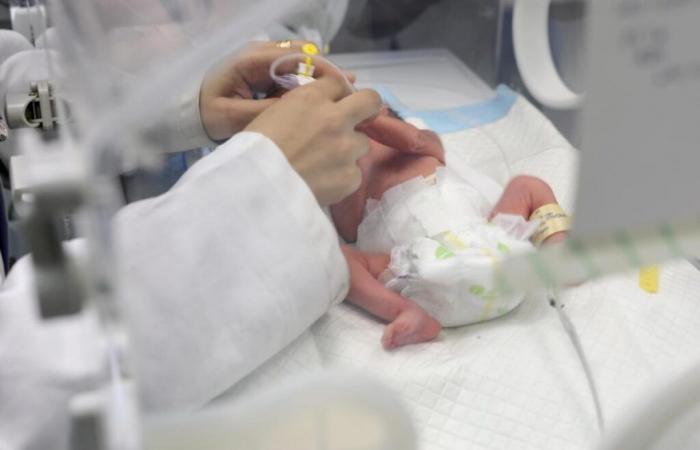 Gaza: newborns and patients in danger of death due to lack of fuel at Nasser hospital, MSF alert