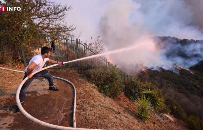 IN PICTURES – Los Angeles: the most spectacular photos of the fire that ravaged Pacific Palisades