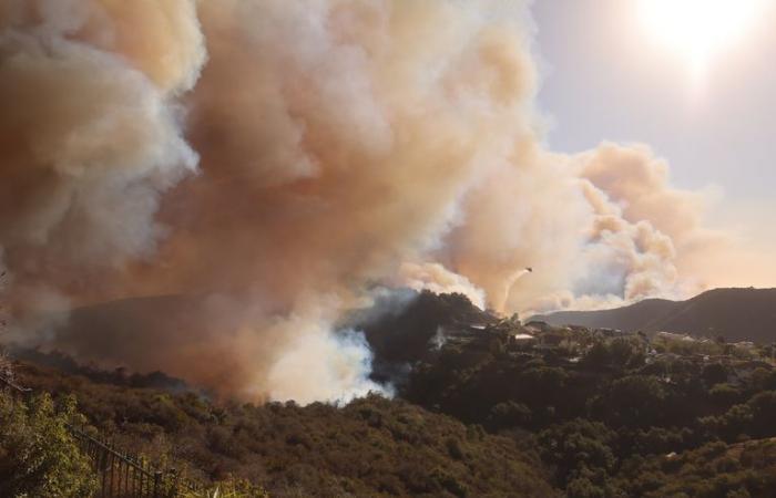 IN PICTURES – Los Angeles: the most spectacular photos of the fire that ravaged Pacific Palisades