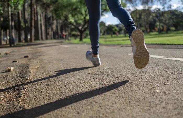 Sexually assaulted while jogging, a 58-year-old jogger is saved thanks to the rapid intervention of passers-by