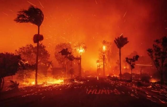 Fires in California: stars including a Star Wars legend evacuated, 30,000 people fleeing in 100 km/h winds!