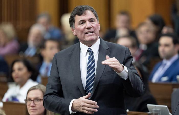 Minister Dominic LeBlanc will not be in the Liberal leadership race