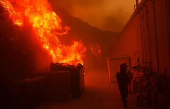 Fires in California: stars including a Star Wars legend evacuated, 30,000 people fleeing in 100 km/h winds!