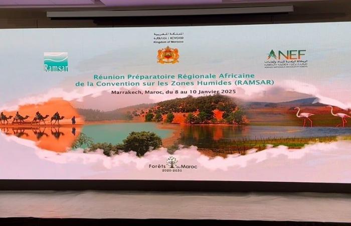 Morocco committed to preserving wetlands