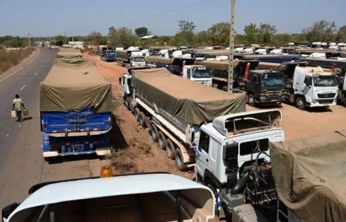 Mali. Attack on Nioro du Sahel: two Moroccan trucks damaged, no human damage to be deplored