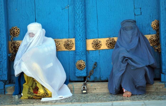 What hope for Afghan women after the promulgation of a new law on “morality” in Afghanistan? Dorothée Ollieric, war reporter, tells us.