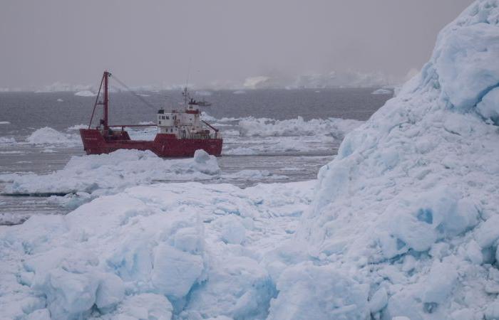 Trump wants to buy Greenland again. Here’s why he’s so interested in the world’s largest island