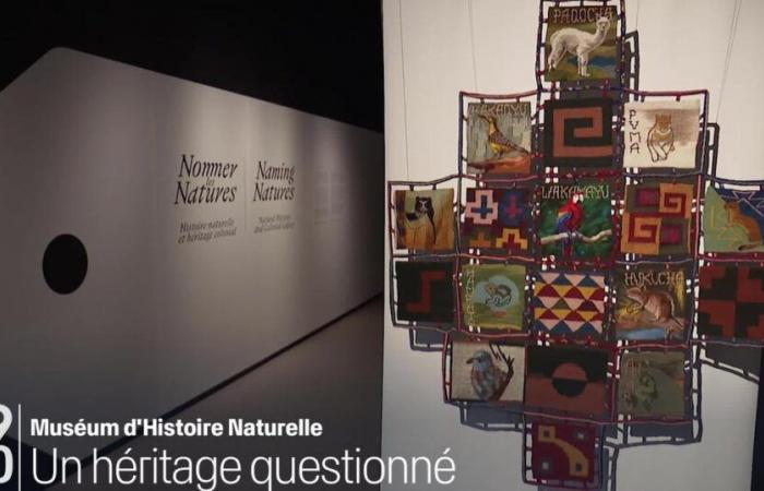 The Natural History Museum of Neuchâtel questions its colonial heritage – rts.ch