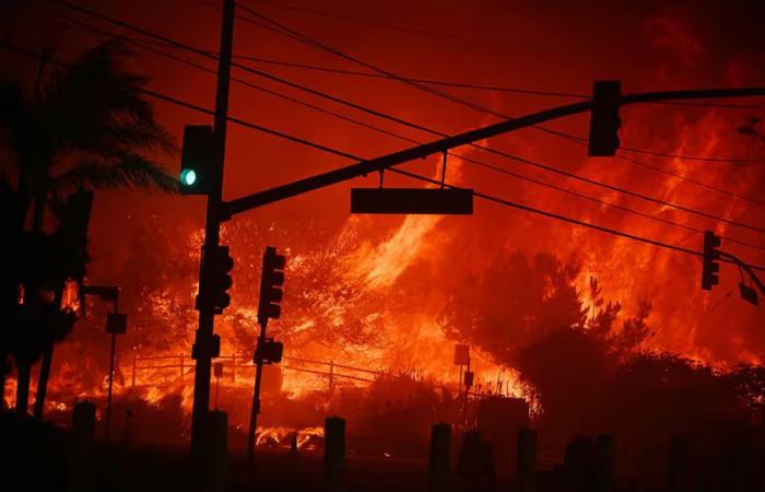 Violent wildfires force thousands of evacuations in Los Angeles