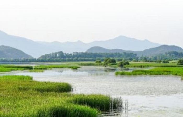 Focus on the preservation of wetlands – Africa