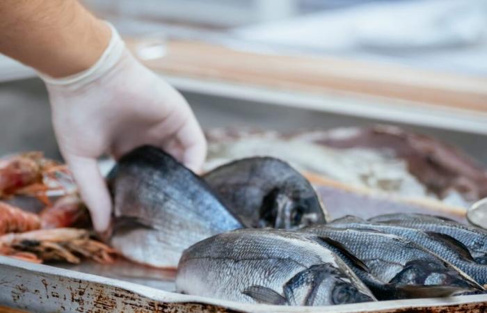 This fish that we all eat is dangerous for our health, we must not overdo it according to a study