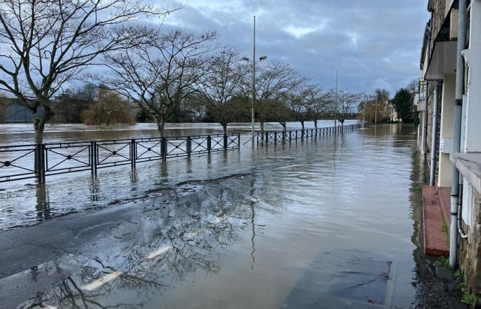 Bad weather. The Vilaine and the Seiche are overflowing. Floods under close surveillance in Ille-et-Vilaine