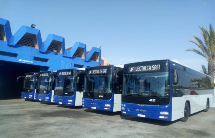 Urban transport by bus: Vectalia Safi placed in judicial protection