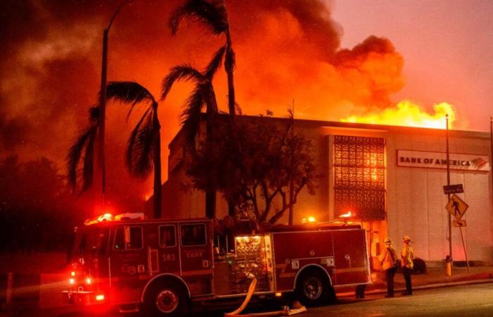 Drought, gusts of wind… How to explain such violent fires in Los Angeles in the middle of winter