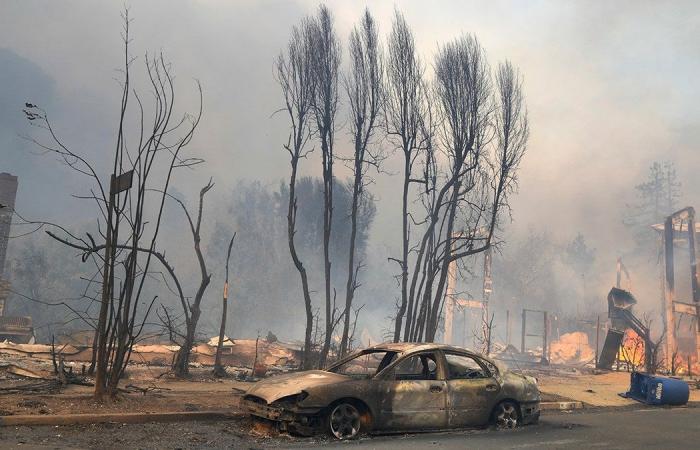 Palisades Fire: Sarah Michelle Gellar leads stars blasting LA mayor as gridlock cripples evacuations