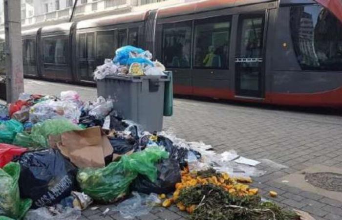 Casablanca: hygiene police operational by this summer