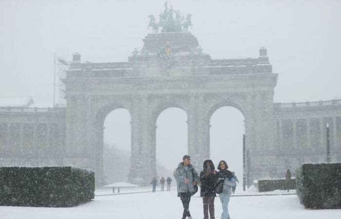 Does snow fall less often in Belgium than before?