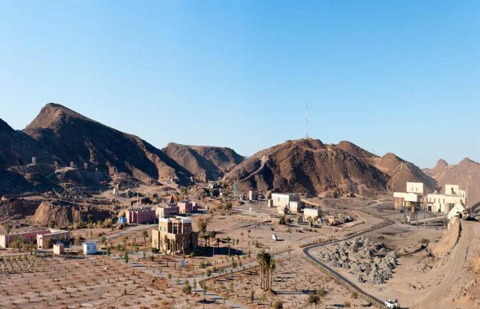 Managem sells Oumejrane mine to Purple Hedge Resources