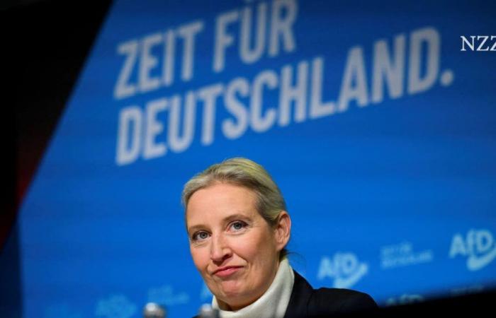 Weidel and the US billionaire agree