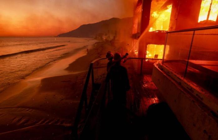 Fires in Los Angeles. Læticia Hallyday has “lost everything”, Luke Skywalker takes refuge with his daughter… Who are the evacuated stars?