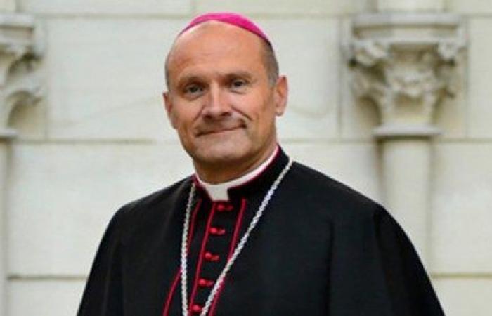 Father Franck Javary appointed bishop of Châlons in France