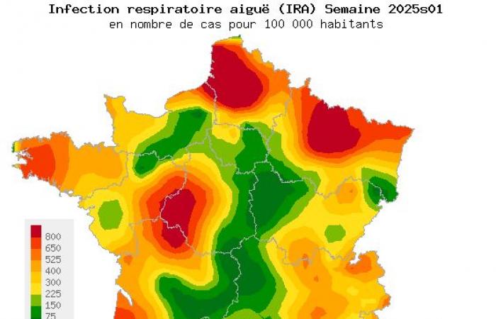 Acute respiratory infection: general data from the Inserm Sentinels network