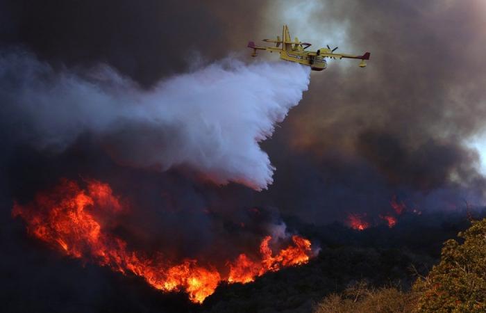 Palisades Fire: Sarah Michelle Gellar leads stars blasting LA mayor as gridlock cripples evacuations