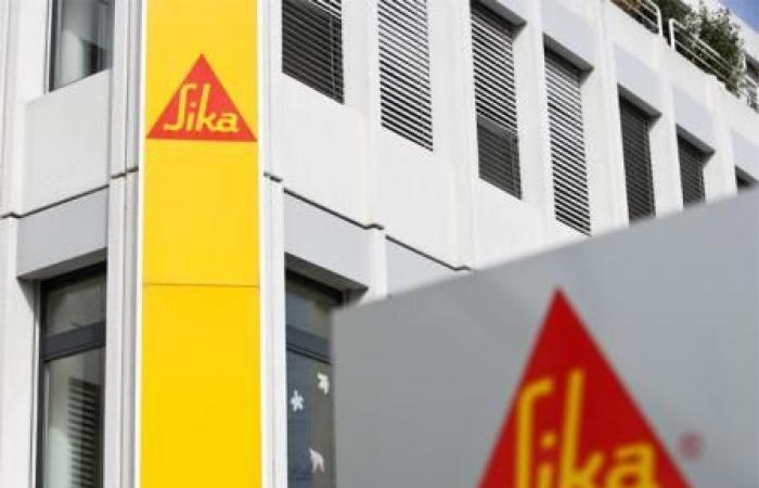 Sika stock in poor shape despite strong annual sales